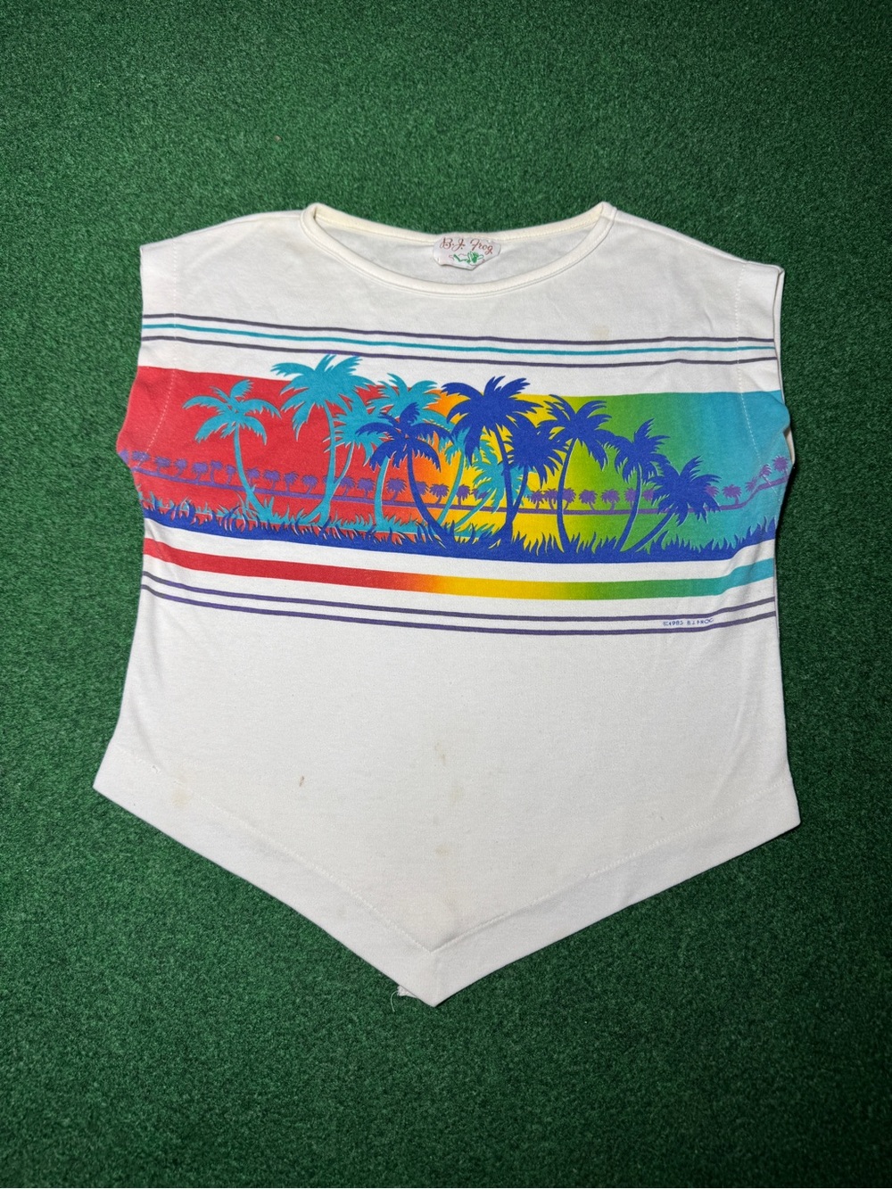 Bj Frog Vintage 80s Shirt Womens Sleeveless S/M Palm Tree Rainbow 16x18 Crop Top